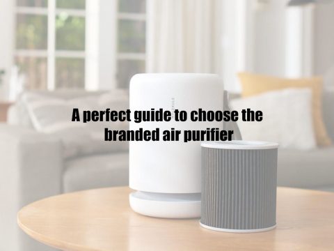 A perfect guide to choose the branded air purifier