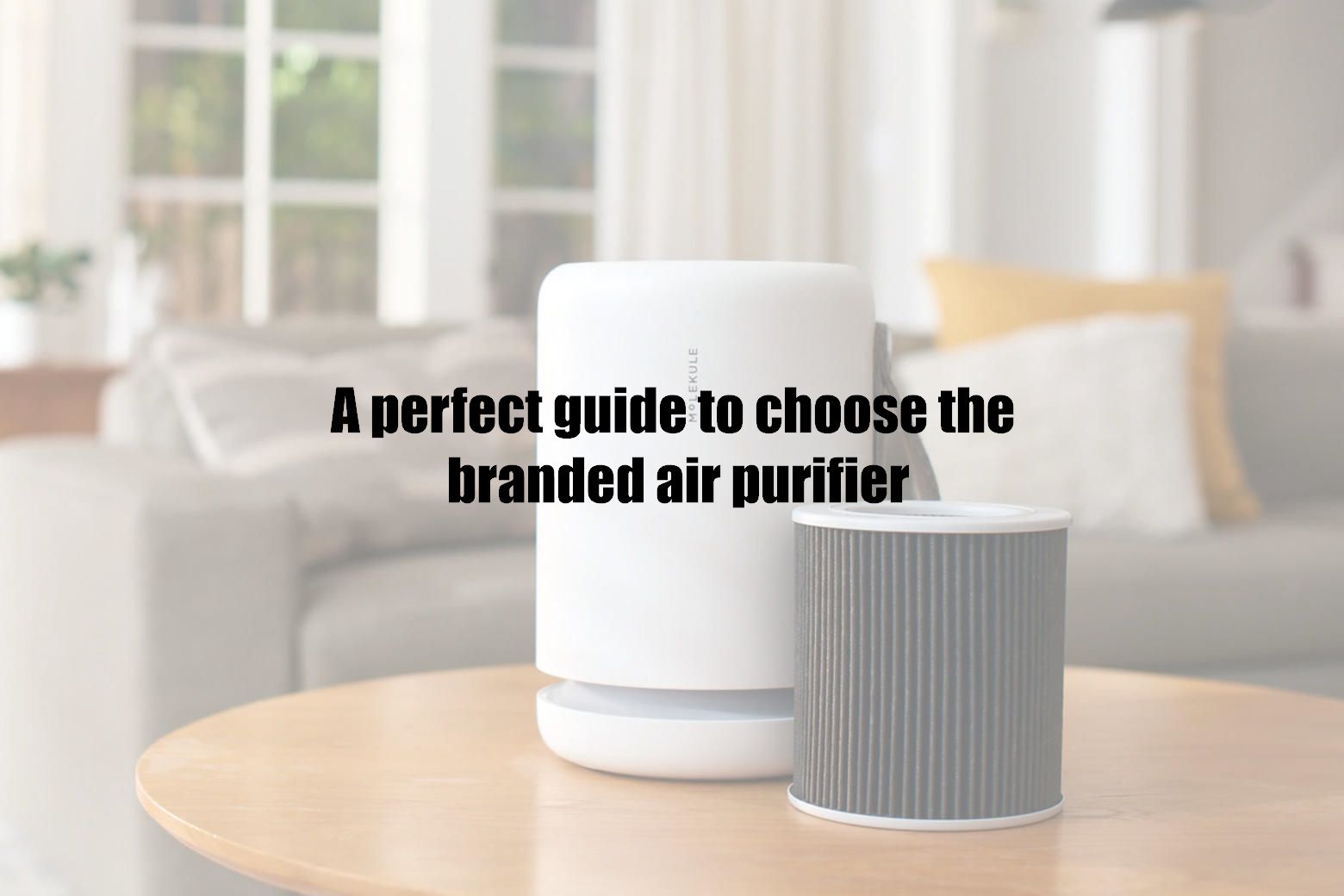 A perfect guide to choose the branded air purifier