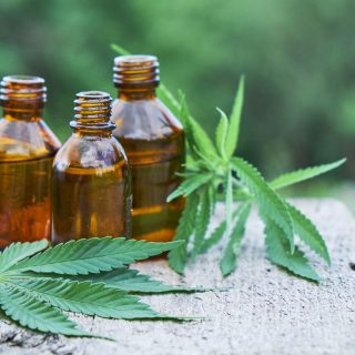 Best cbd oil for cats are Safe and Effective